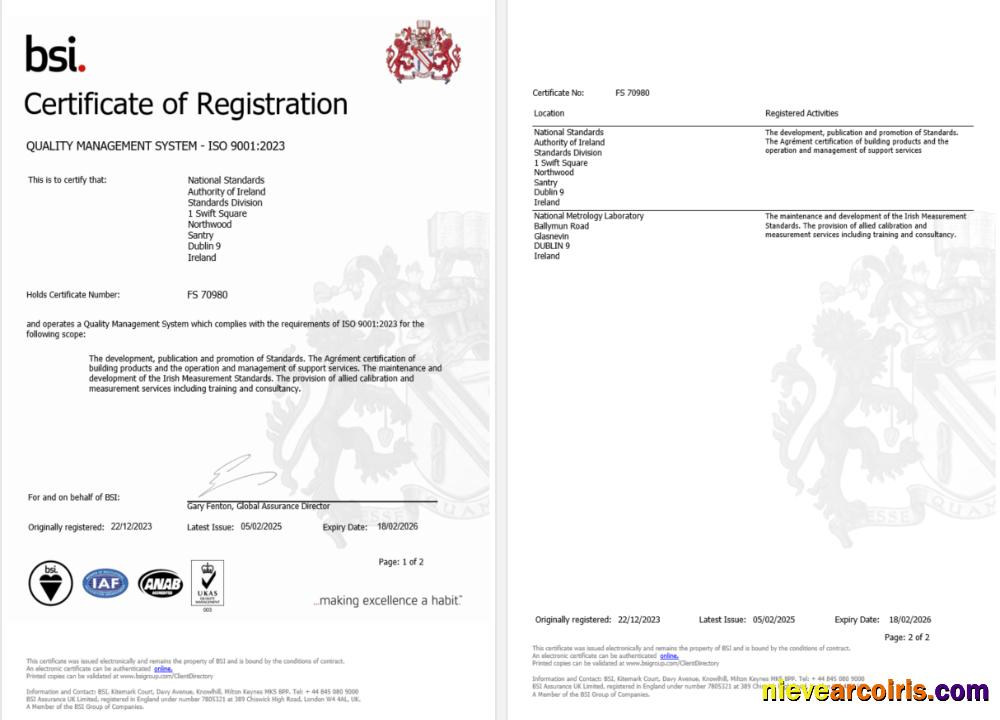Ireland Dublin BSI certificate of registration